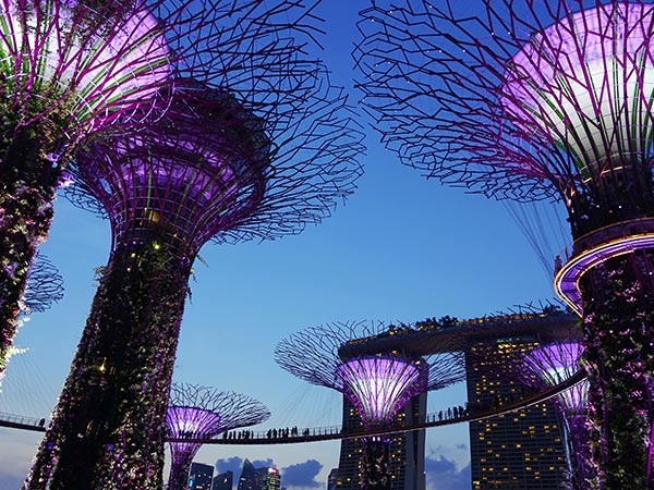 新加坡、馬來西亞雙飛六日游