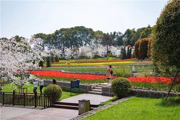 岳陽花語世界、汴河街一日游