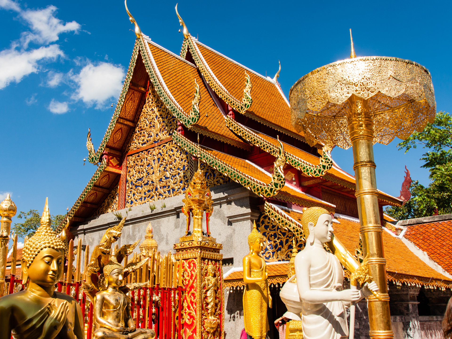 清邁、清萊雙飛7天6晚游