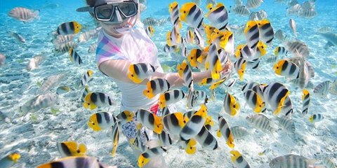 【愛尚斯米蘭】普吉島斯米蘭六日游 【愛尚斯米蘭】普吉島斯米蘭六日游