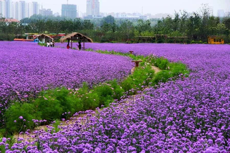 長沙?華誼兄弟電影小鎮(zhèn)、李自健美術(shù)館一日游