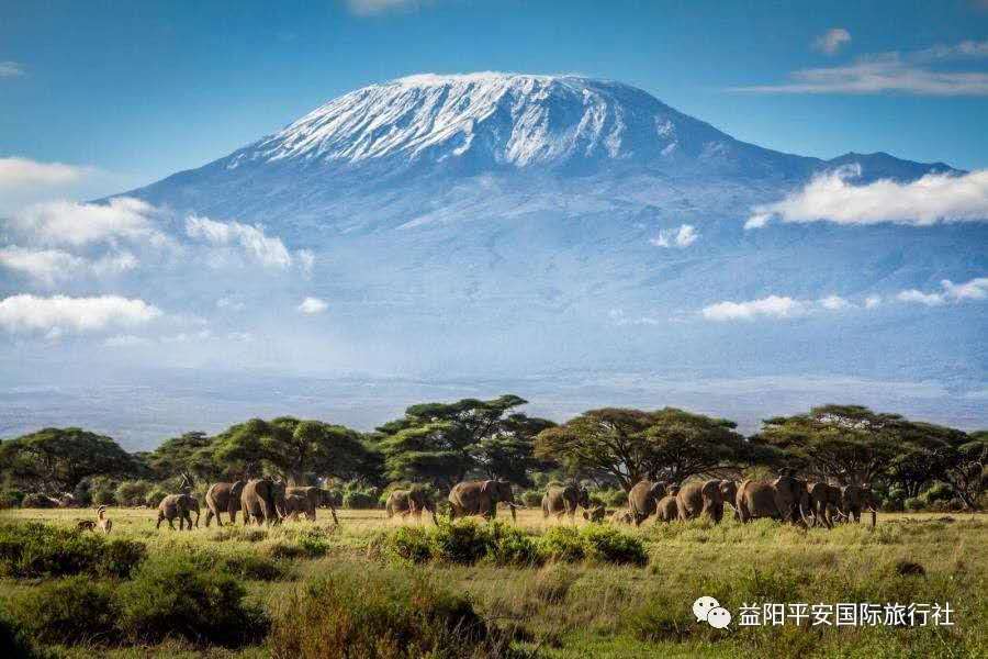 發(fā)現非洲體驗之旅肯尼亞10游 發(fā)現非洲體驗之旅肯尼亞10游