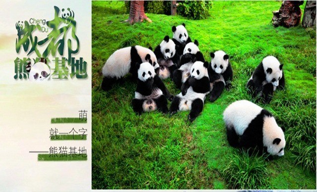 長沙、成都雙飛6天