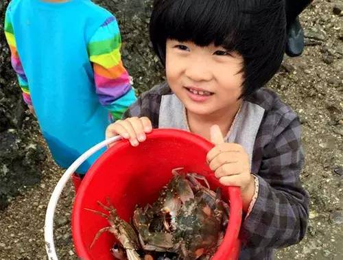 廈門親子雙飛五日游 廈門親子雙飛五日游