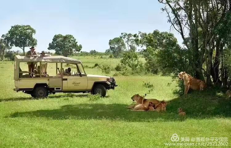 肯尼亞10日游 肯尼亞10日游