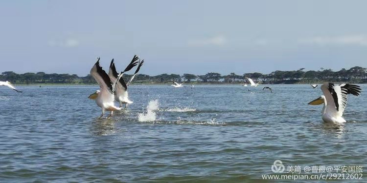 肯尼亞10日游 肯尼亞10日游