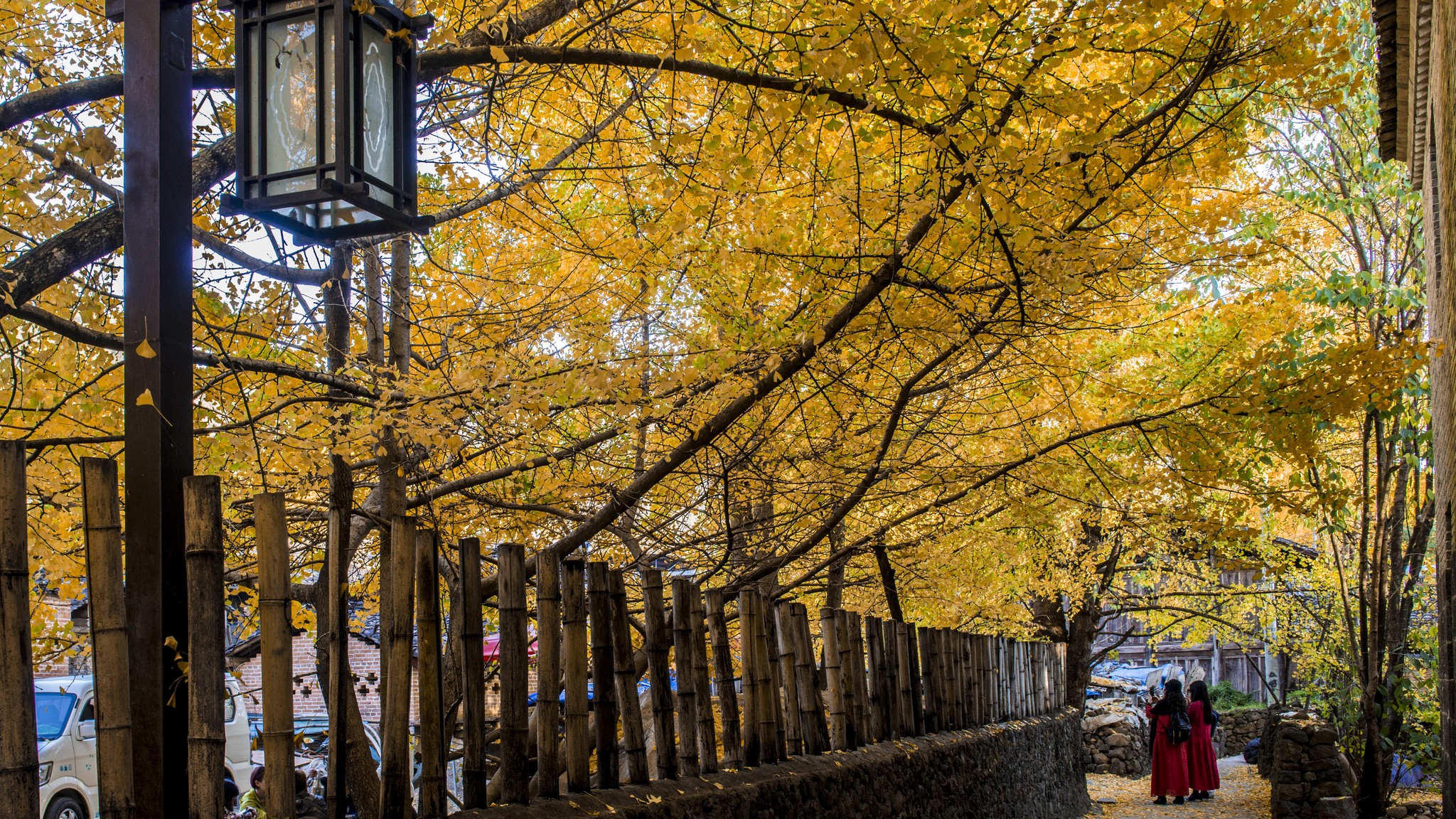 長沙直飛騰沖、瑞麗、芒市雙飛六日游