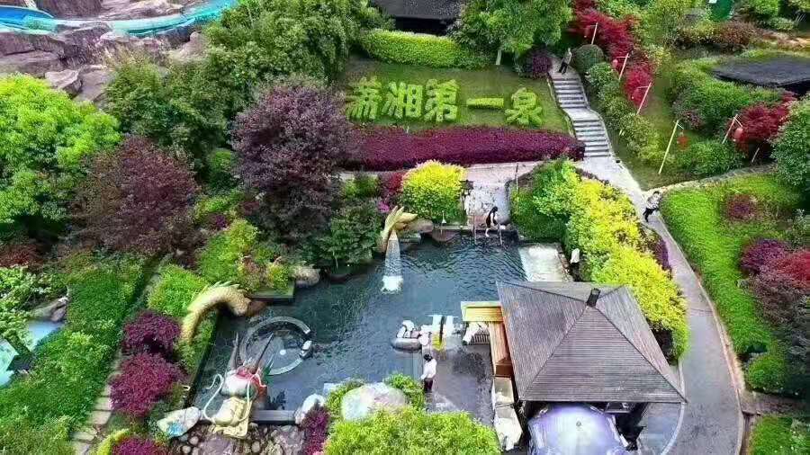 紫龍灣溫泉一日游 紫龍灣溫泉一日游